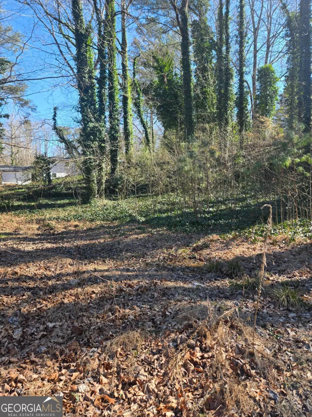 5674 Woodland DR Acworth, GA 30102