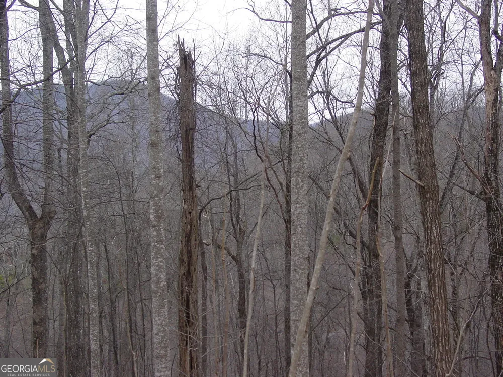 #16 Roaring Ridge Hiawassee, GA 30546