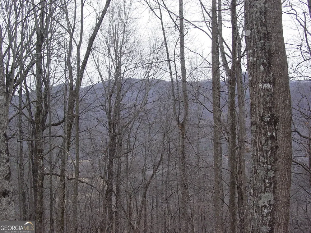 #16 Roaring Ridge Hiawassee, GA 30546