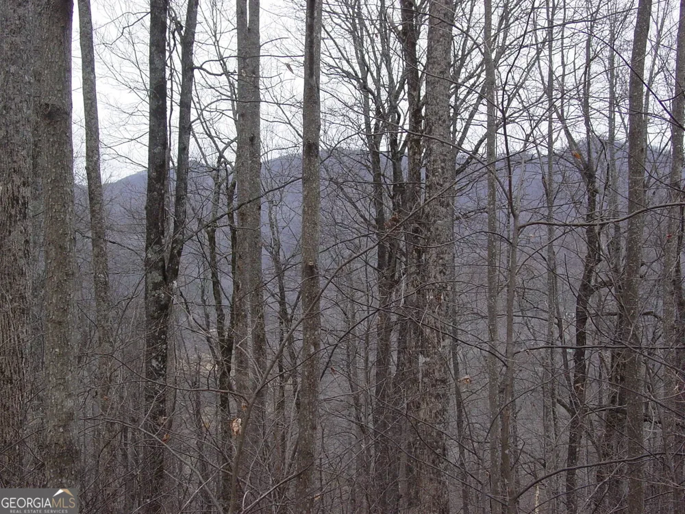 #17 Roaring Ridge Hiawassee, GA 30546