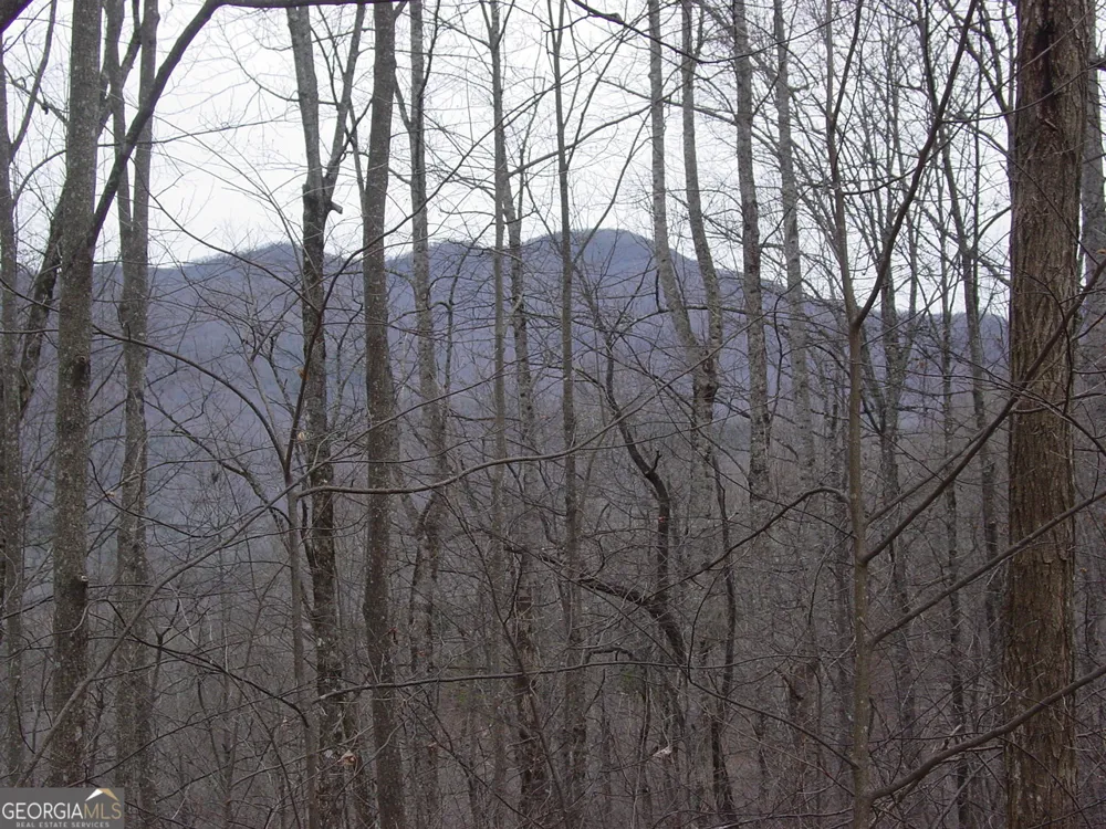 #17 Roaring Ridge Hiawassee, GA 30546