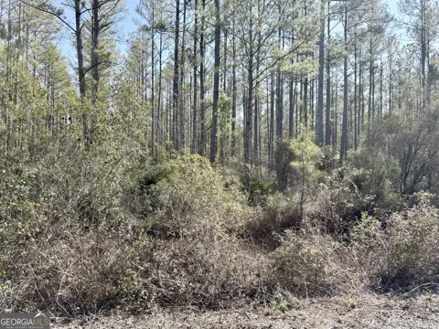 18 Satilla Plantation