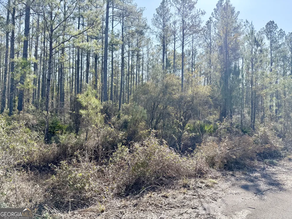 18 Satilla Plantation Waynesville, GA 31566