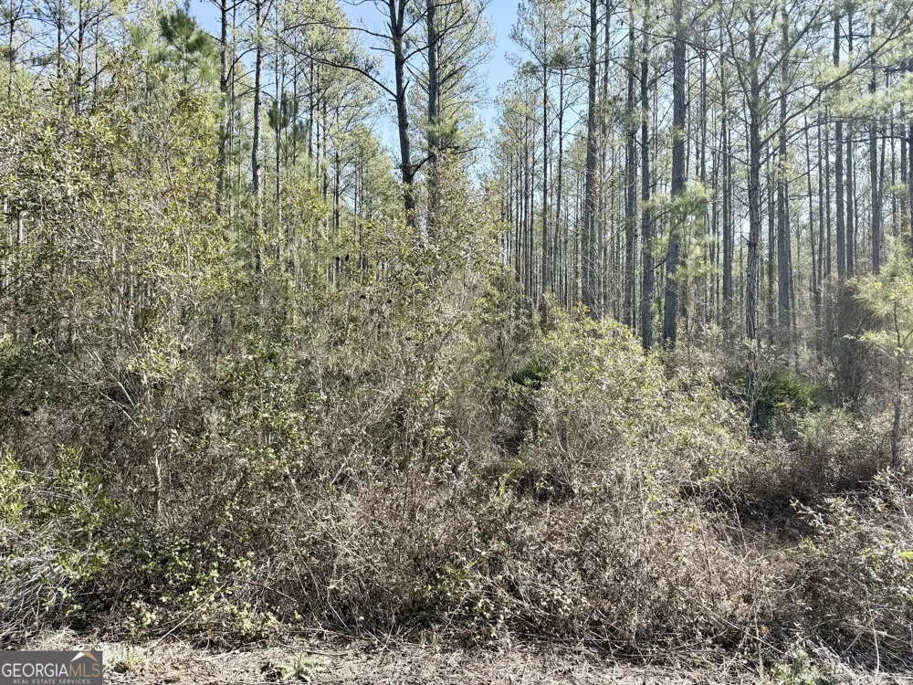 18 Satilla Plantation Waynesville, GA 31566