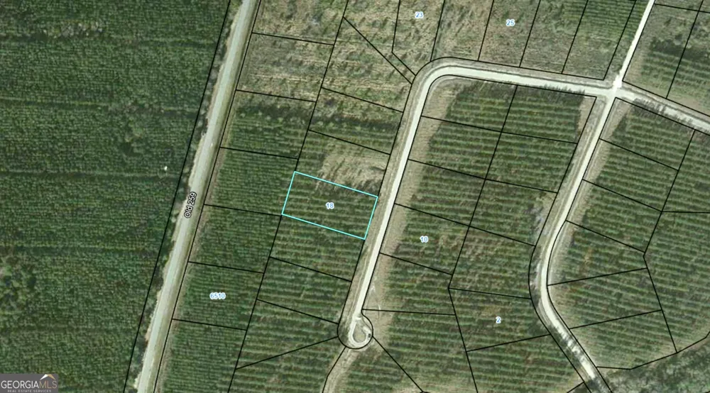 18 Satilla Plantation Waynesville, GA 31566