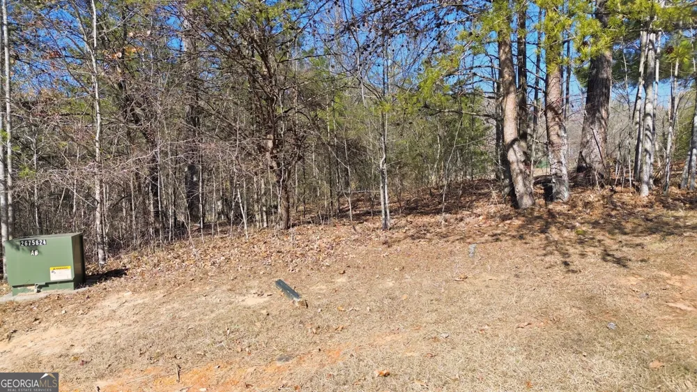 12 Wards Pond WAY Toccoa, GA 30577