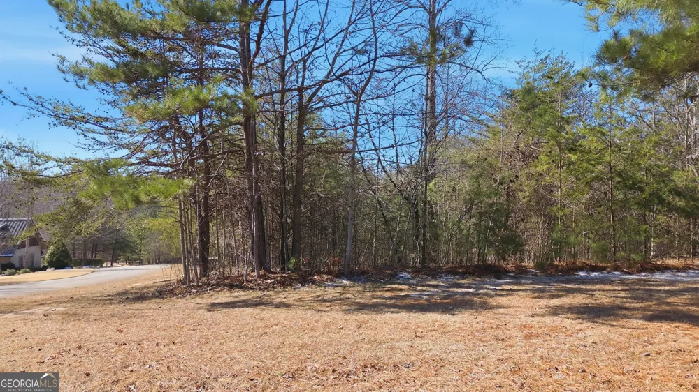 12 Wards Pond WAY Toccoa, GA 30577