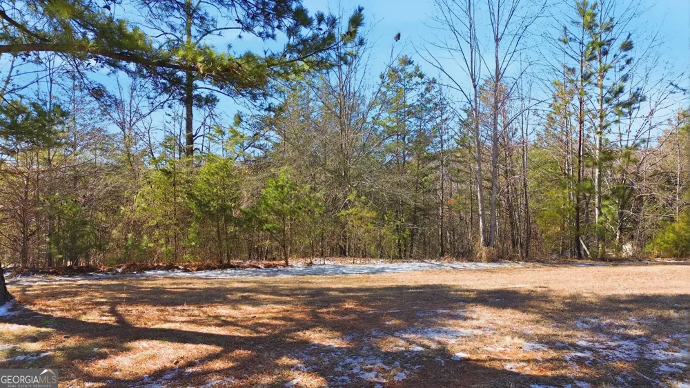 12 Wards Pond WAY Toccoa, GA 30577