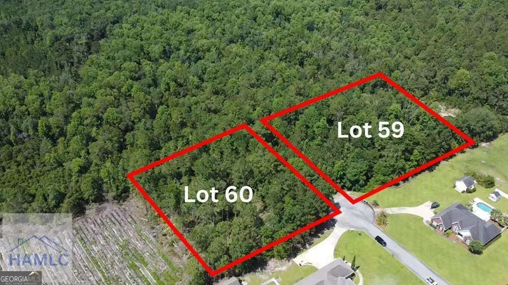 113 Vixenhill DR Jesup, GA 31546