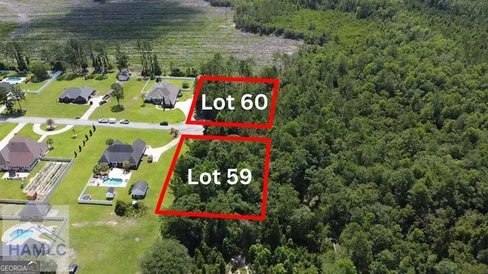 113 Vixenhill DR Jesup, GA 31546
