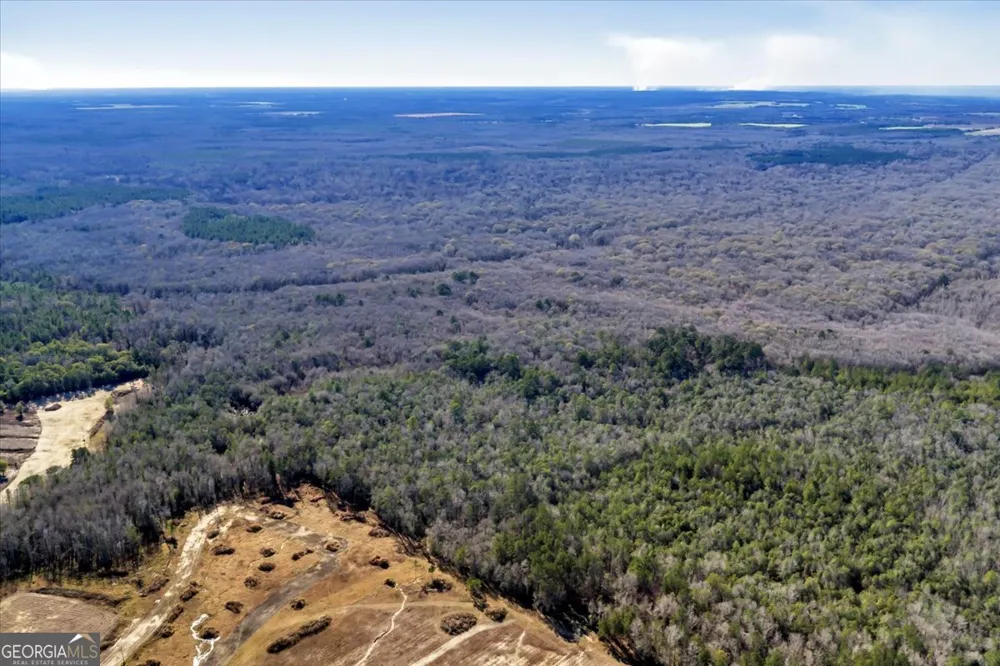 296 Boxwood RD Fort Valley, GA 31030