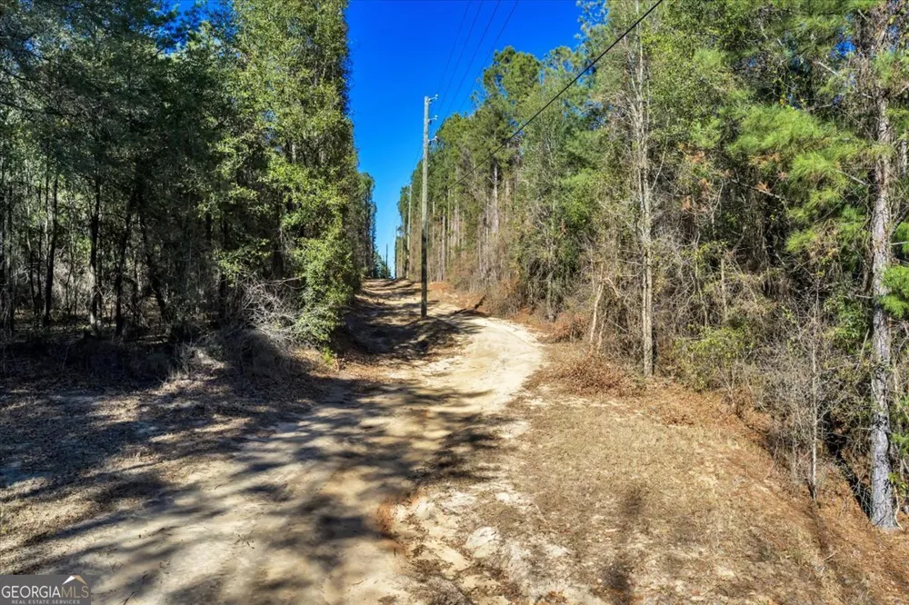 296 Boxwood RD Fort Valley, GA 31030