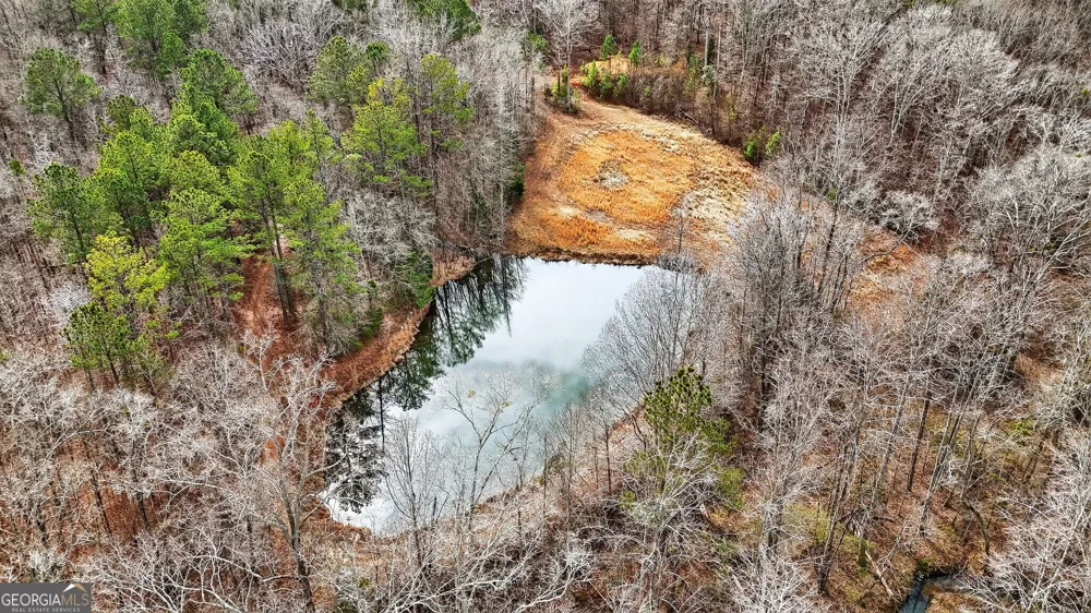 762 High Falls Park RD Barnesville, GA 30204