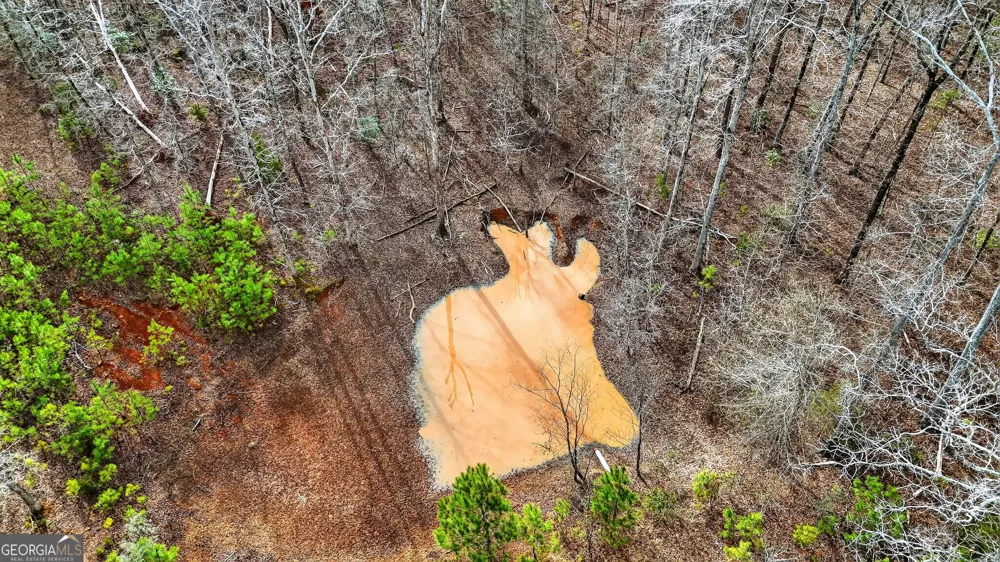 762 High Falls Park RD Barnesville, GA 30204