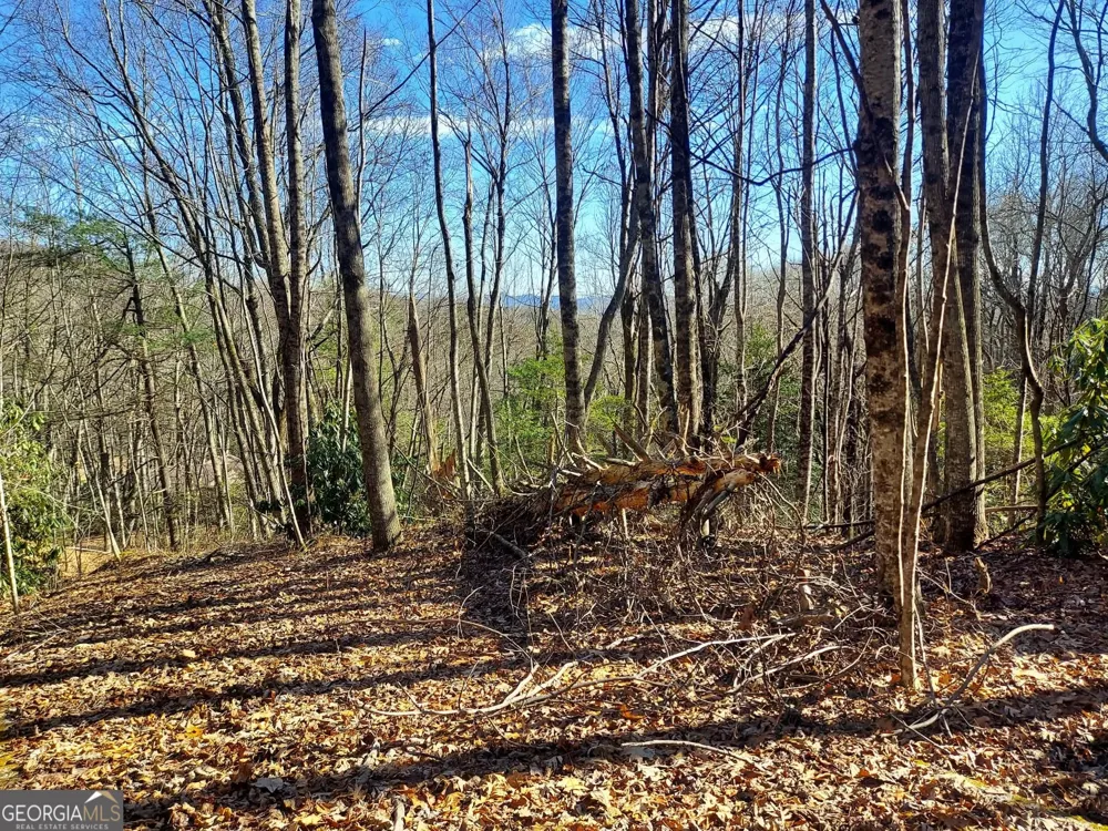 0 LOT 14 & 15 Honey Bear Dillard, GA 30537