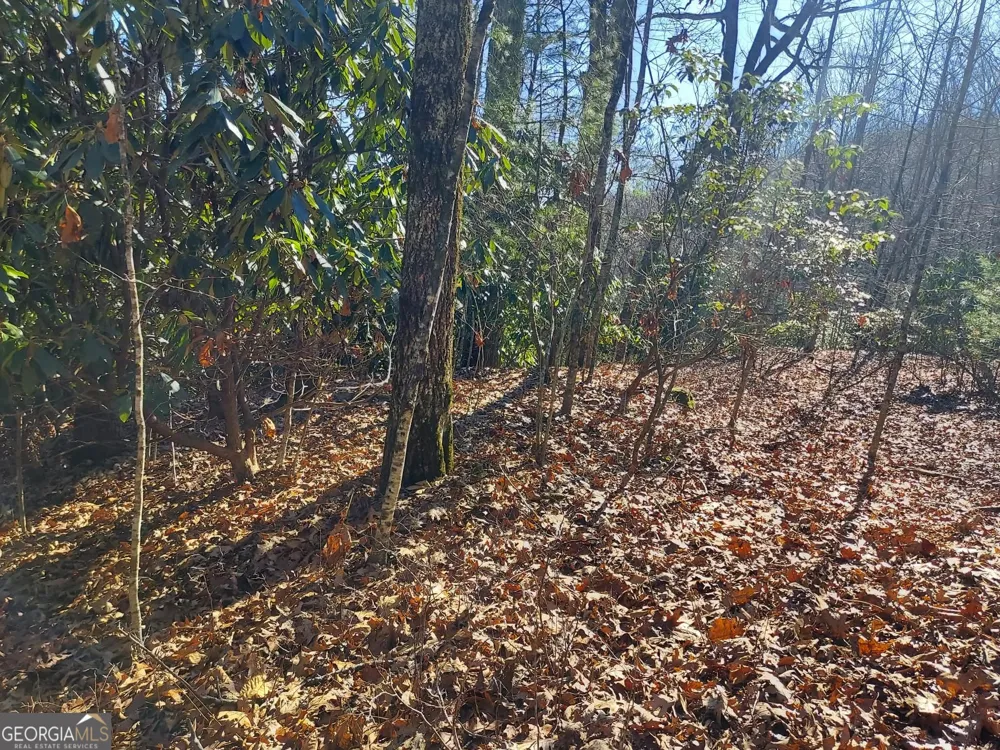 0 LOT 14 & 15 Honey Bear Dillard, GA 30537