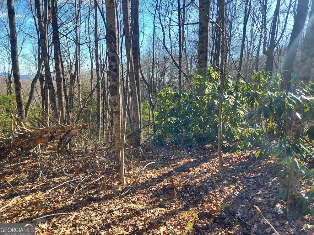0 LOT 14 & 15 Honey Bear Dillard, GA 30537