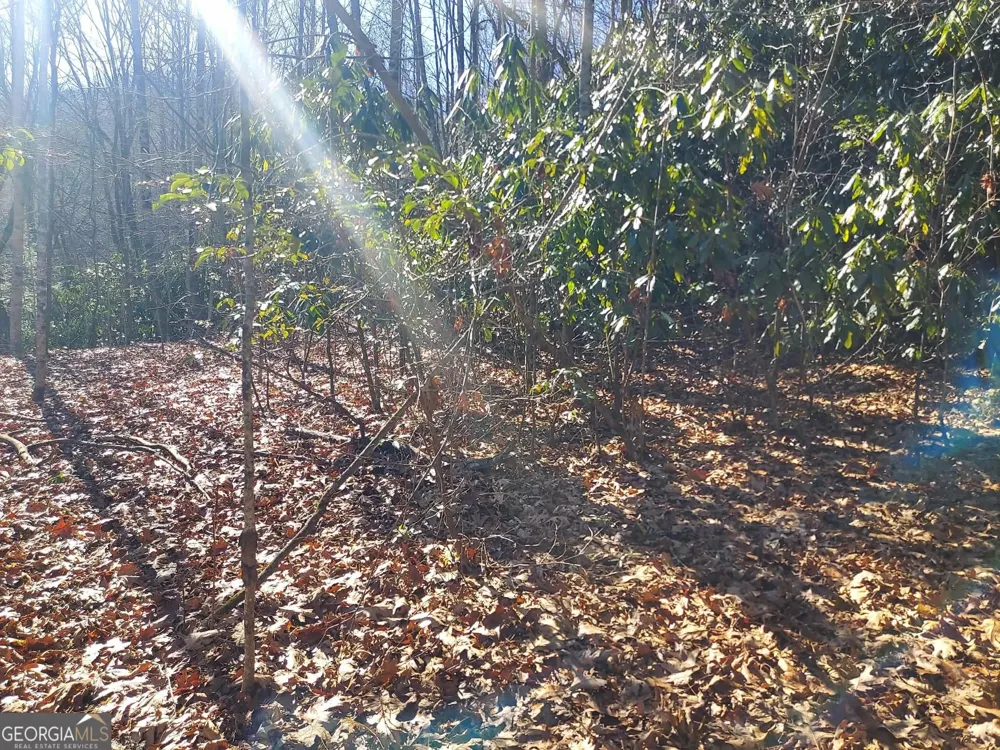 0 LOT 14 & 15 Honey Bear Dillard, GA 30537