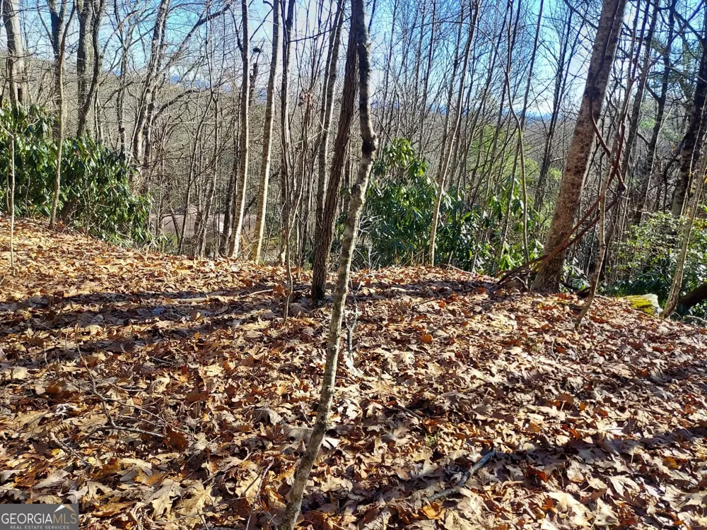 0 LOT 14 & 15 Honey Bear Dillard, GA 30537