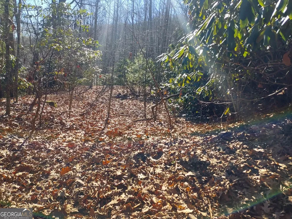 0 LOT 14 & 15 Honey Bear Dillard, GA 30537