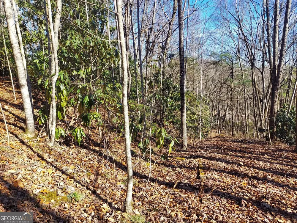 0 LOT 14 & 15 Honey Bear Dillard, GA 30537