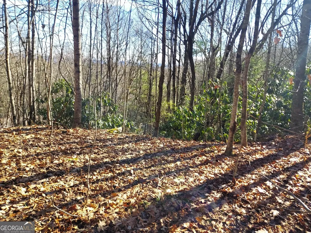 0 LOT 14 & 15 Honey Bear Dillard, GA 30537