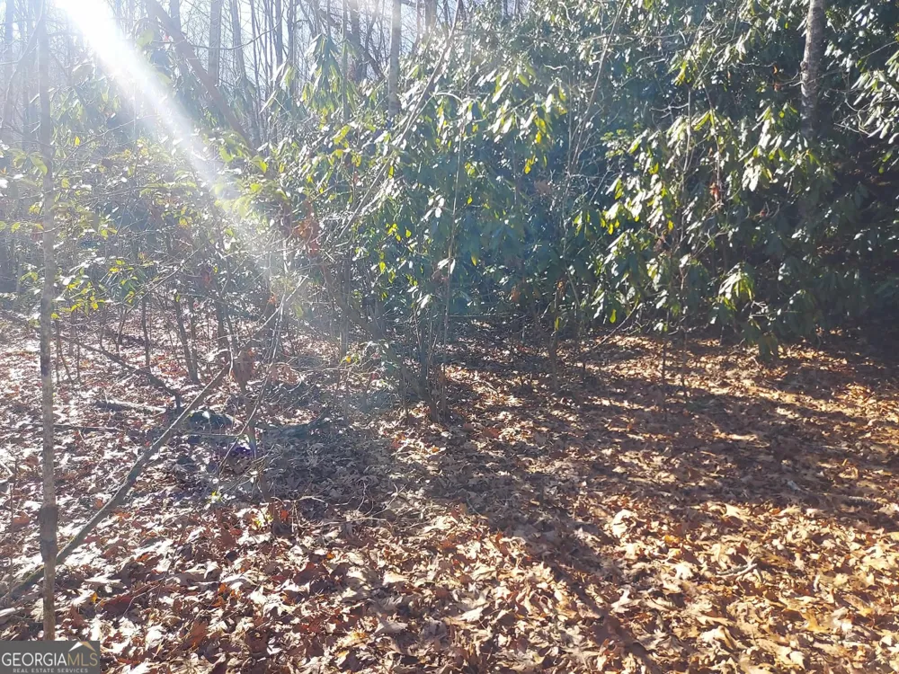 0 LOT 14 & 15 Honey Bear Dillard, GA 30537