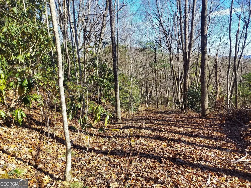 0 LOT 14 & 15 Honey Bear Dillard, GA 30537