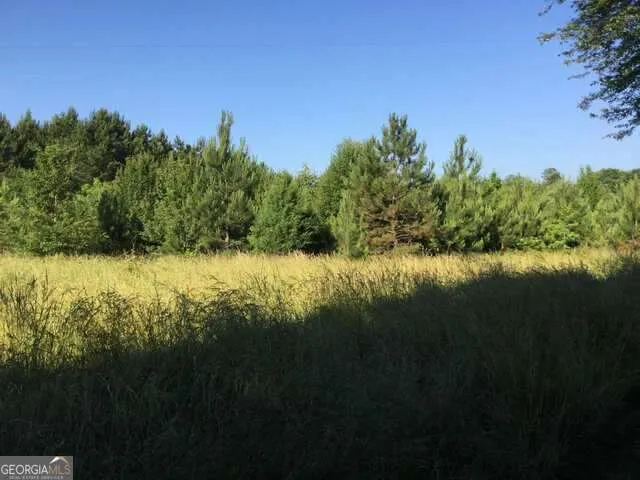 19.6 ACRES Grant RD Fayetteville, GA 30215