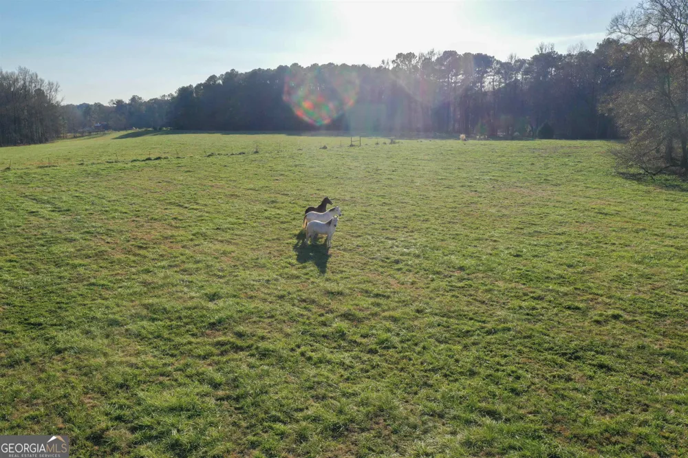 19.6 ACRES Grant RD Fayetteville, GA 30215