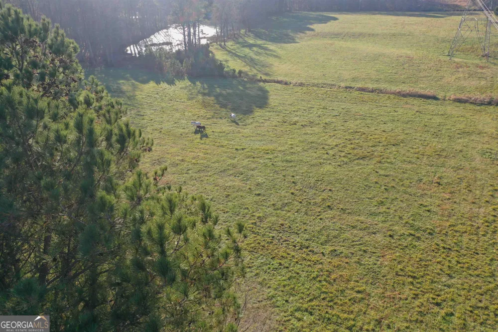 19.6 ACRES Grant RD Fayetteville, GA 30215