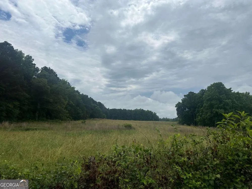 19.6 ACRES Grant RD Fayetteville, GA 30215