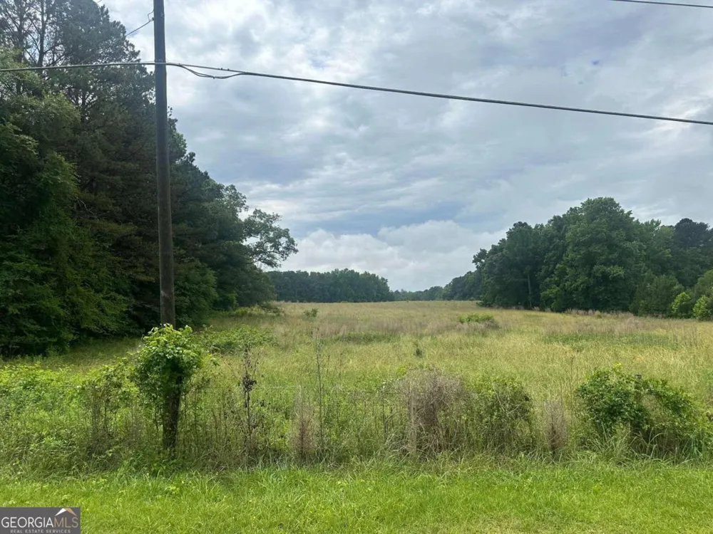 19.6 ACRES Grant RD Fayetteville, GA 30215
