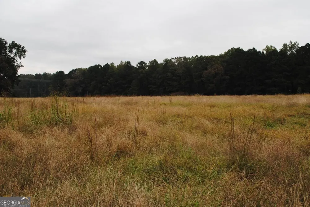 19.6 ACRES Grant RD Fayetteville, GA 30215
