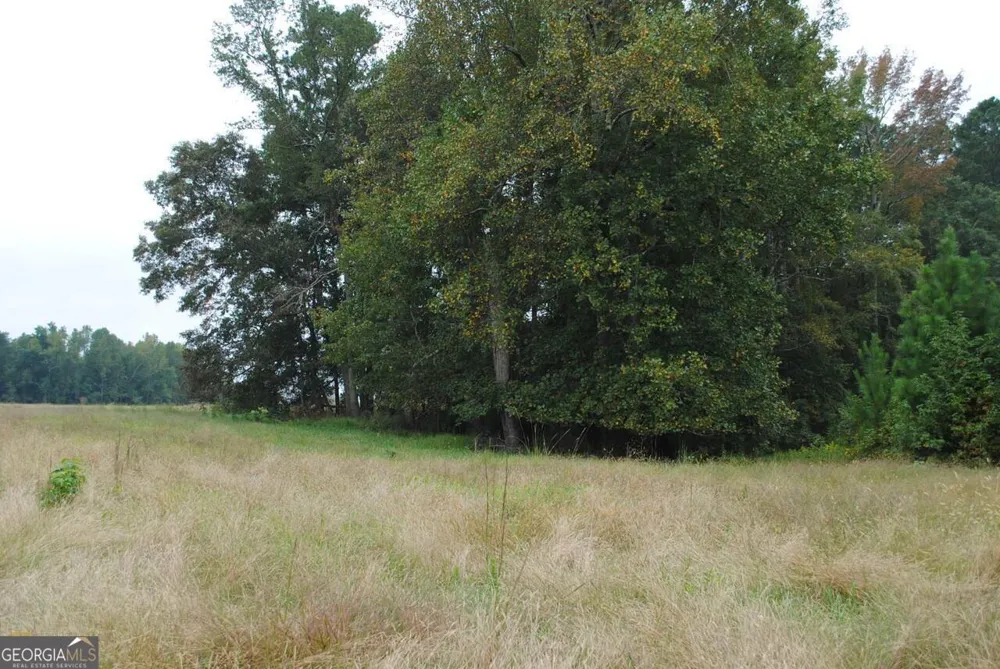 19.6 ACRES Grant RD Fayetteville, GA 30215