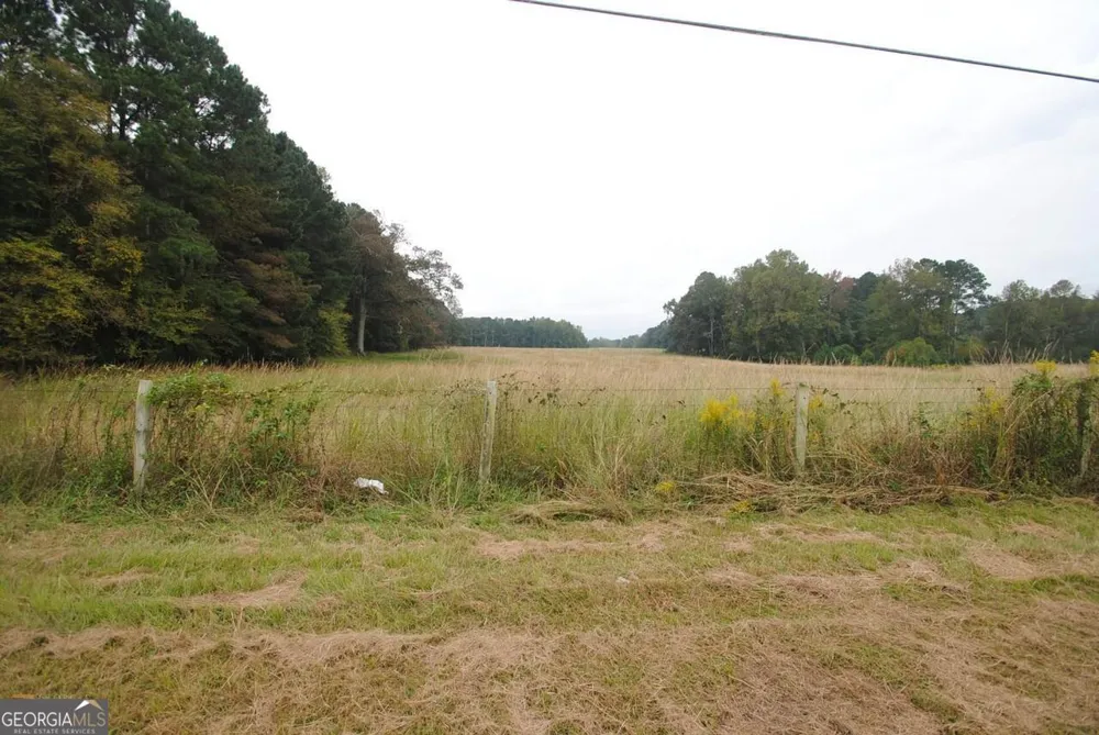 19.6 ACRES Grant RD Fayetteville, GA 30215