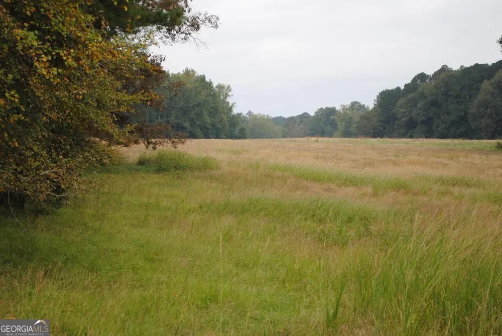 19.6 ACRES Grant RD Fayetteville, GA 30215