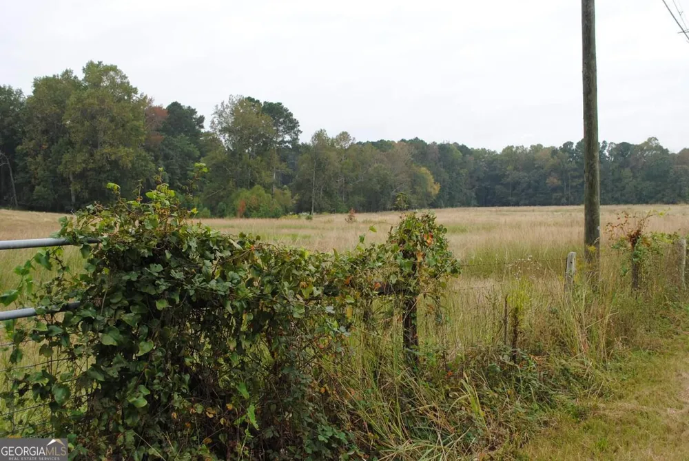 19.6 ACRES Grant RD Fayetteville, GA 30215