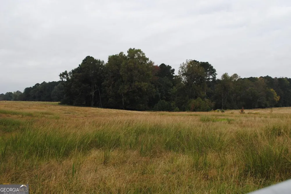 19.6 ACRES Grant RD Fayetteville, GA 30215