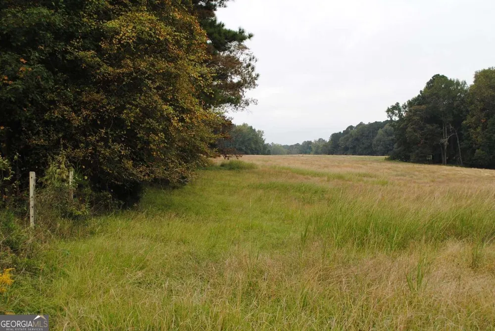 19.6 ACRES Grant RD Fayetteville, GA 30215