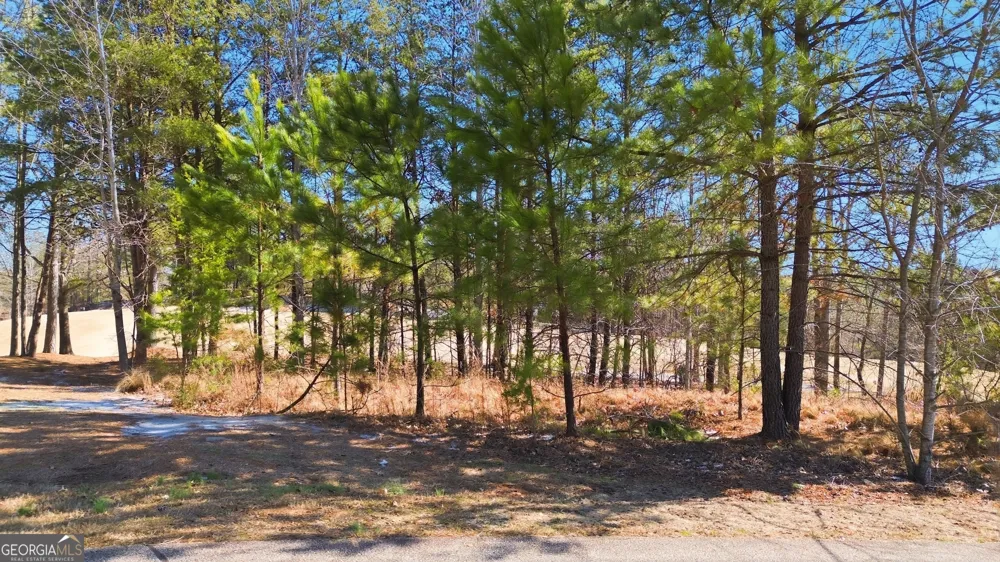 101 Cottage LN Toccoa, GA 30577
