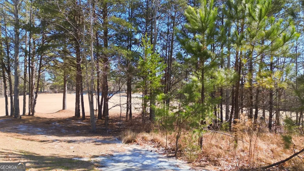 101 Cottage LN Toccoa, GA 30577
