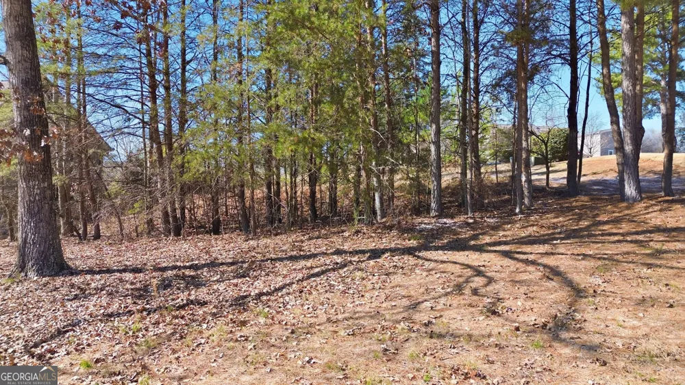 101 Cottage LN Toccoa, GA 30577