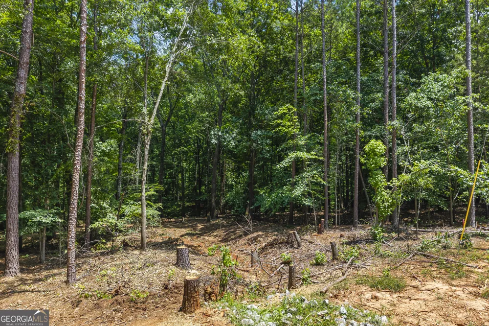 0 Tall Oaks RD Watkinsville, GA 30677