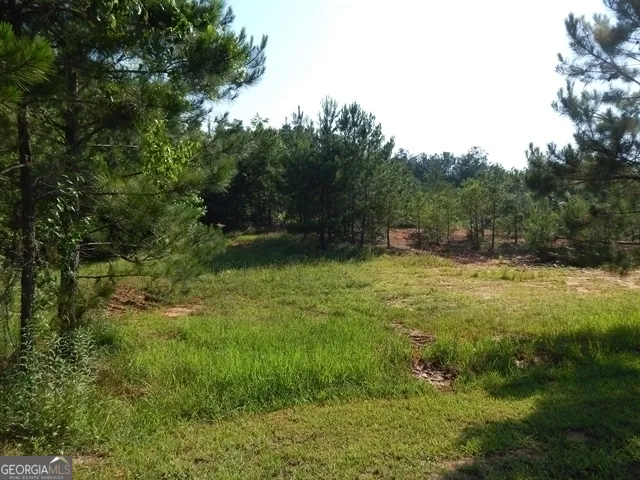 120 Bruce RD Martin, GA 30557