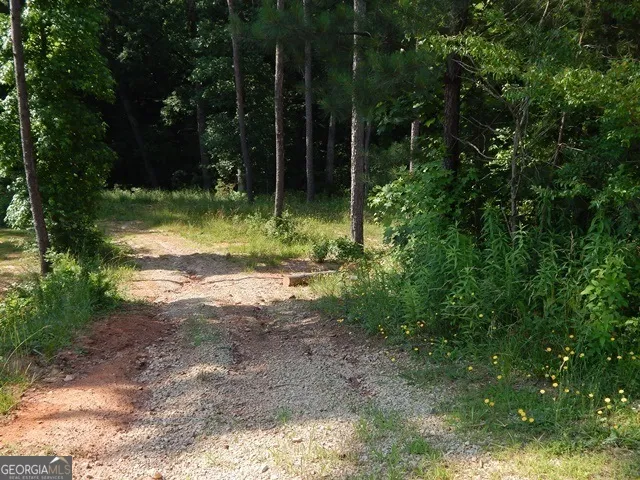 120 Bruce RD Martin, GA 30557