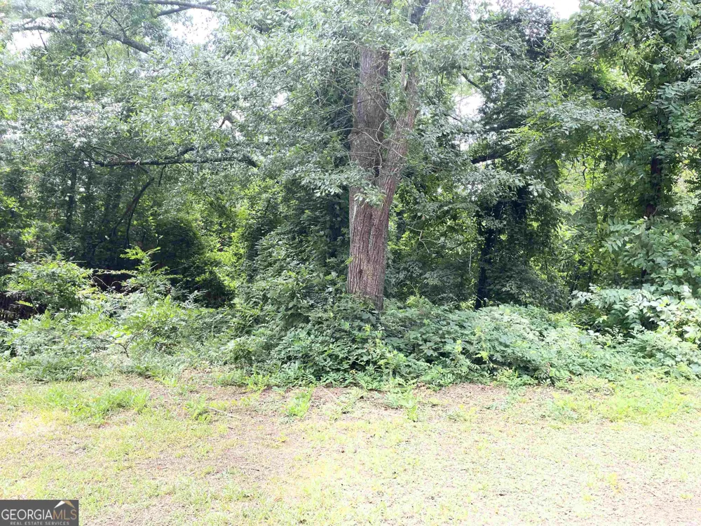 120 Bruce RD Martin, GA 30557