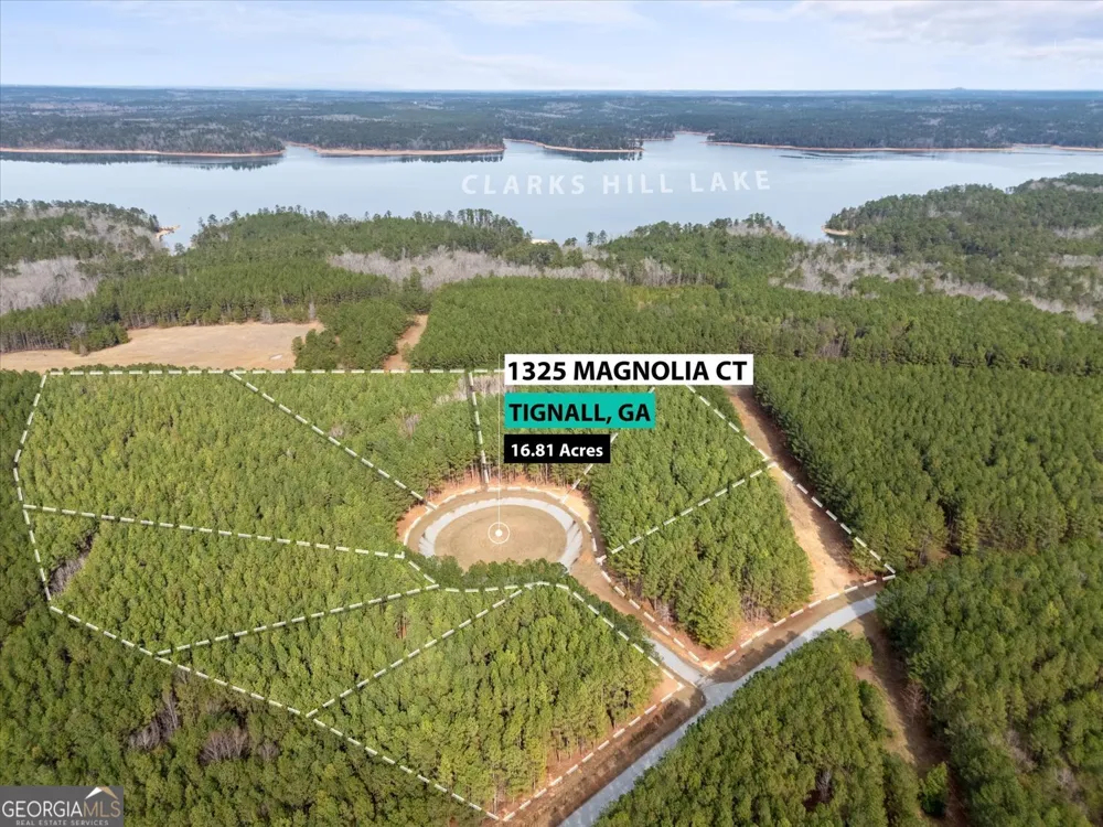 0 Magnolia CT Tignall, GA 30668