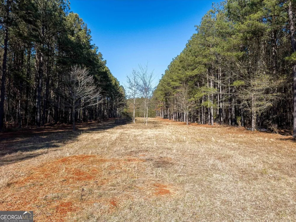 0 Rogers RD Tignall, GA 30668