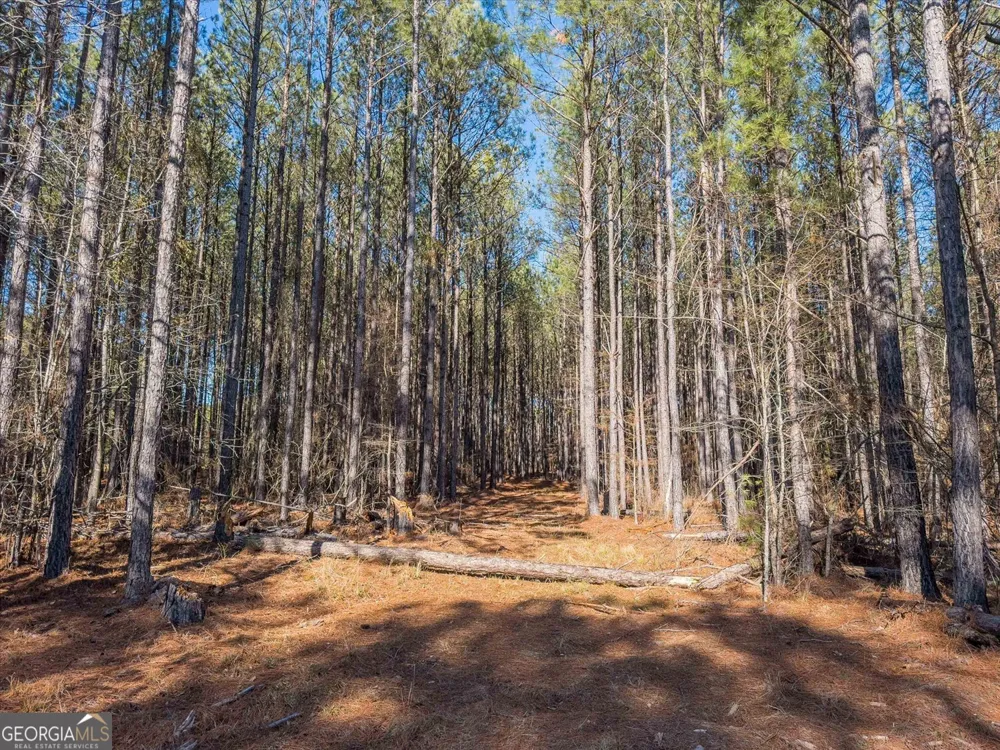 0 Rogers RD Tignall, GA 30668